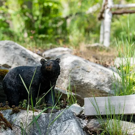 Ravenstein בקתה פיש