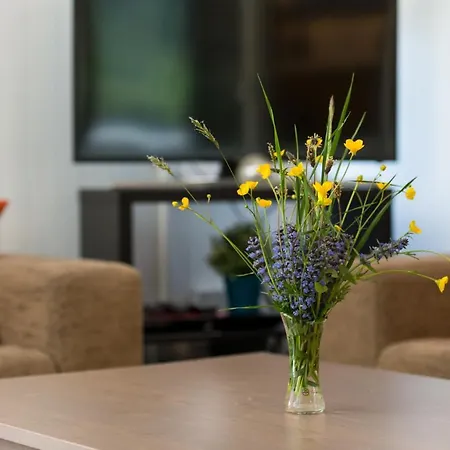 Ravenstein Alpesi faház *